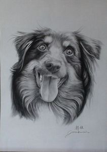 芸術の写真からの注文の木炭肖像画、木炭ペット肖像画(犬の肖像画、猫の肖像画、馬の肖像画)