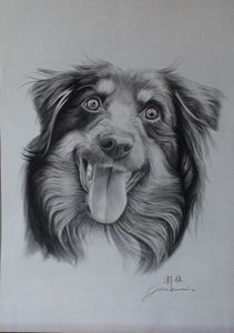 Fine Art Custom Charcoal Dog Portraits from photo, Charcoal Pet Portraits (Dog Portraits, Cats Portraits, Horse Portraits)